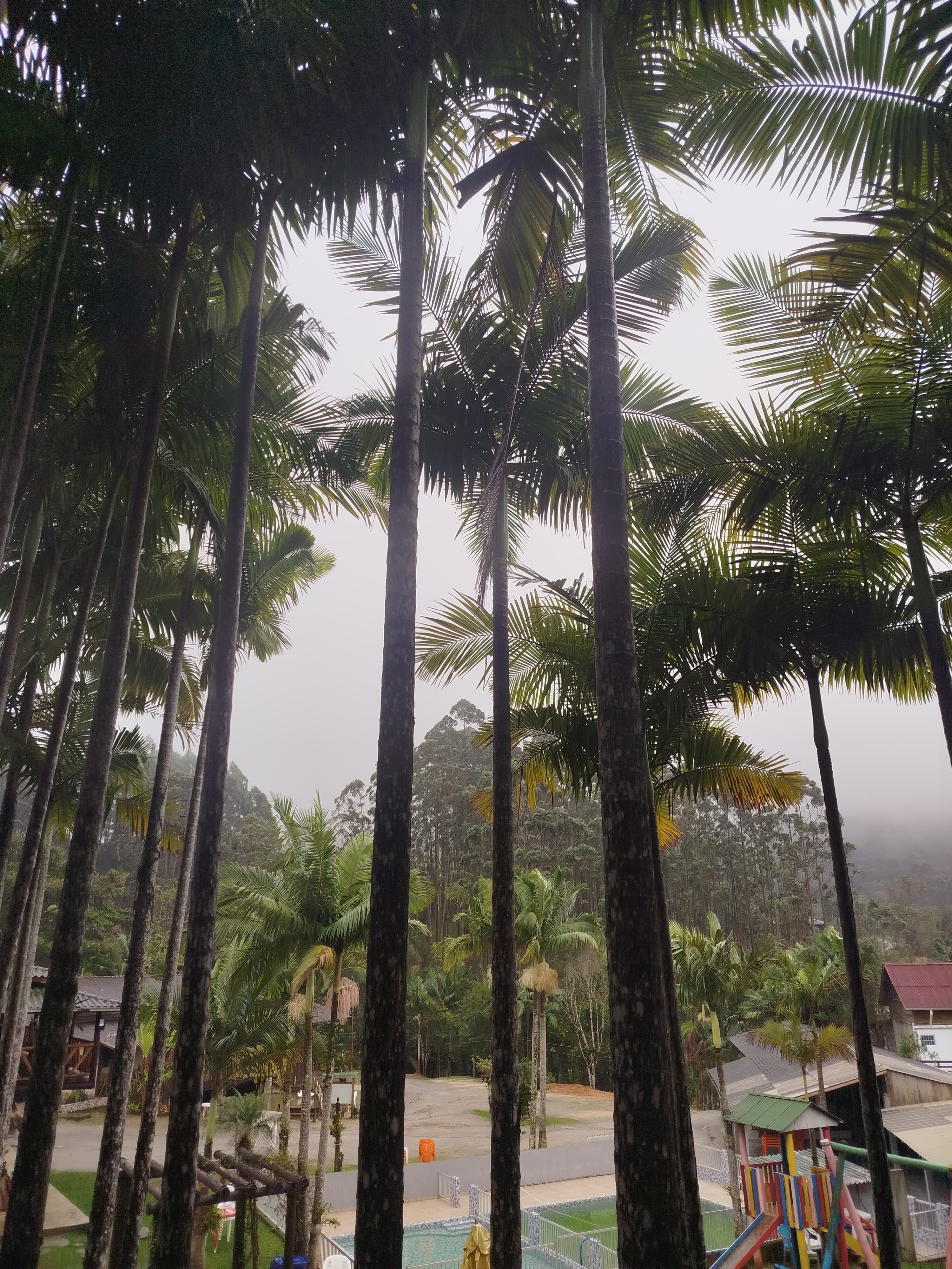 Cabana Luau da Barra
