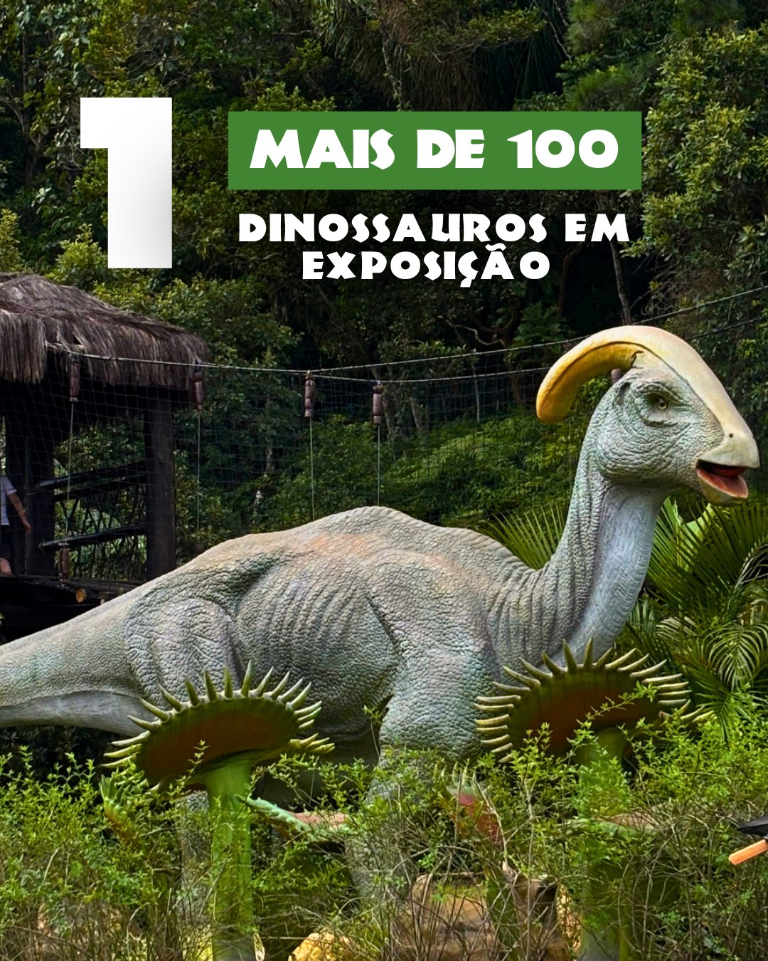 Grupo Oceanic: diversão, inovação e experiências inesquecíveis